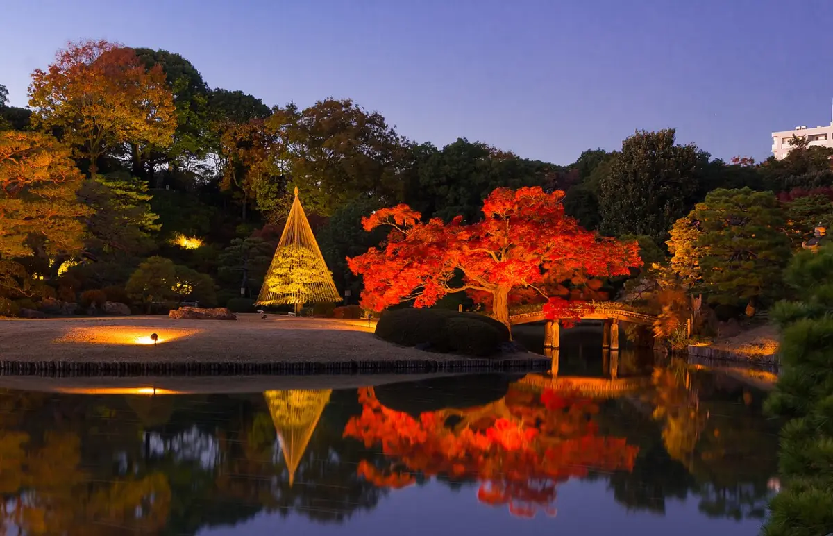 Red autumn maples lit up at dusk and reflected in the pond at Rikugien Garden, Tokyo