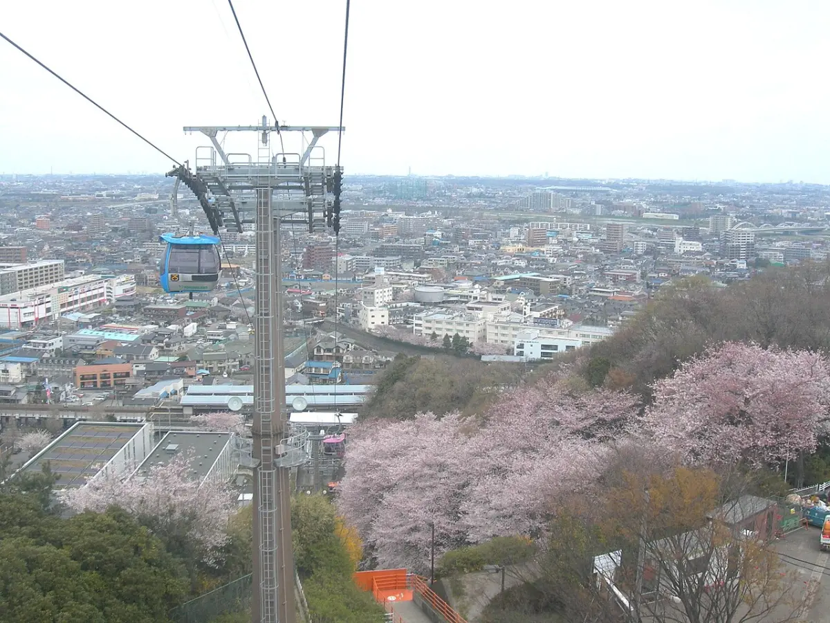 Sky Shuttle gondola climbing from Keio-yomiuri-land Station toward Yomiuriland over cherry blossoms