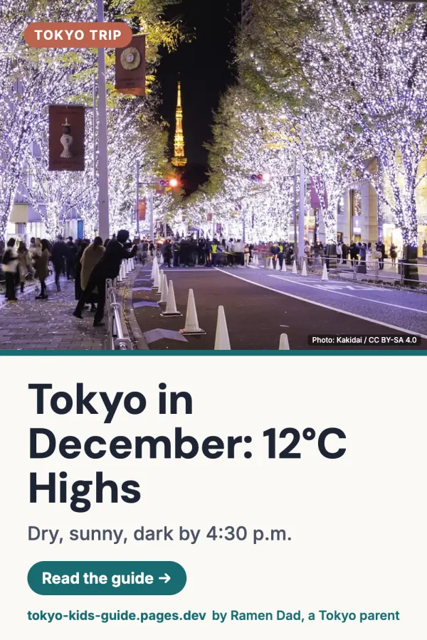Pinterest pin: Japan in December With Kids: Weather, Lights, New Year Closures and Packing